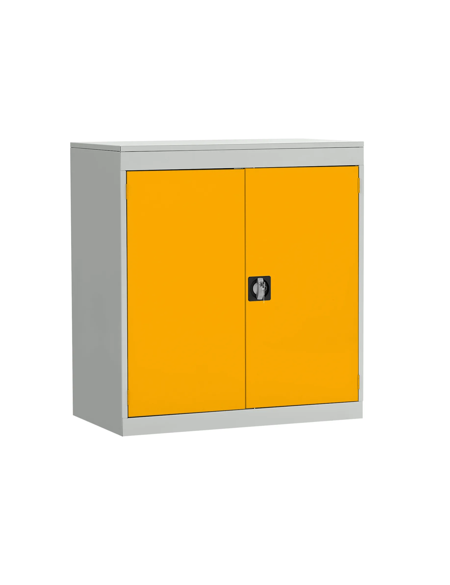 Armadietto da pavimento a 1 anta RS PRO in Acciaio, 984 X 915 X 505mm, 2 ripiani
